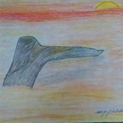 Whale Tail