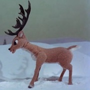 Reindeer