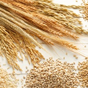Cereal (Grain)