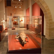 Museu Diocesà, Palma De Mallorca