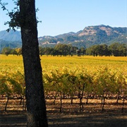 Santa Ynez Valley