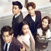 Fifteen Years to Wait for Migratory Birds (2016)