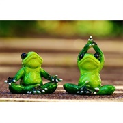 Frog Yoga