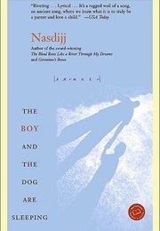 The Boy and the Dog Are Sleeping (Nasdijj)