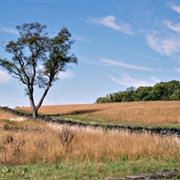 Brandywine Creek State Park, Delaware