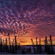 Northern Saskatchewan Winter Sunset