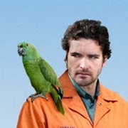 Green Parrot (A Bird of the Air)