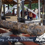 Living Forestry Museum
