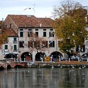 Treviso