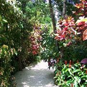 Queen Elizabeth II Botanic Park