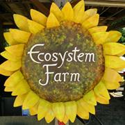 Ecosystem Farm
