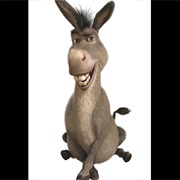 Donkey