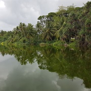 Buada Lagoon