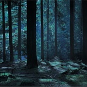 Run Away Into the Woods and Survive for a Couple of Days