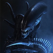 Xenomorph