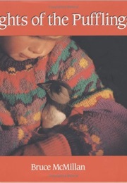 Nights of the Pufflings (Bruce McMilan)