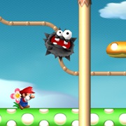 New Super Mario Bros. Wii