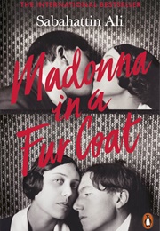 Madonna in a Fur Coat (Sabahattin Ali)