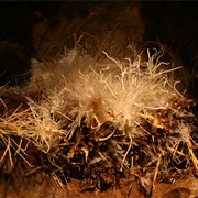 Ochtina Aragonite Cave
