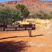 Alice Springs Desert Park