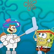 Pre Hibernation Week