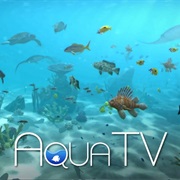 Aqua TV