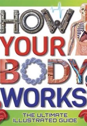 How Your Body Works: The Ultimate Illustrated Guide (Thomas Canavan)