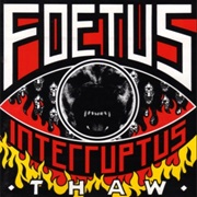 Foetus Interruptus - Thaw