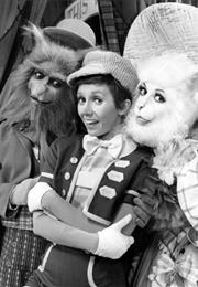 The Sandy Duncan Show