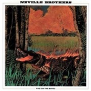 The Neville Brothers - Fiyo on the Bayou