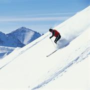 Skiing (Downhill or Cross-Country)
