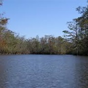 Pearl River (Louisiana-Mississippi)