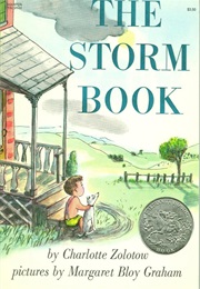 The Storm Book (Charlotte Zolotow)