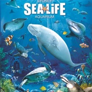 Sydney Aquarium