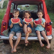 Take a Carride in the Trunk