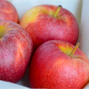 Gala Apples