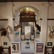 Elgin Public Museum