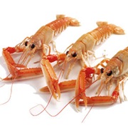Langoustine