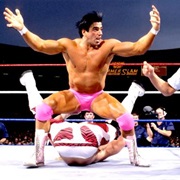 Shawn Michaels vs. Rick Martel,Summerslam 1992
