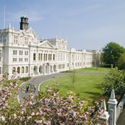 Go to College/University