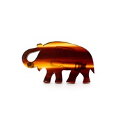 Tortoiseshell Anything