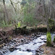 Bothe-Napa Valley State Park, California