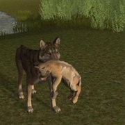 Wolfquest: Slough Creek