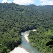 Parque Nacional Podocarpus, Ecuador