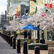 Invercargill