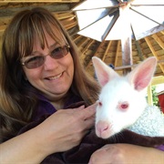 Holding an Albino Kangaroo Joey