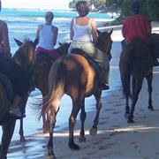 Ride a Horse Along a Tropical Beach