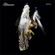 Take Over the World - The Courteeners