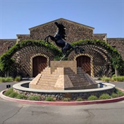 Black Stallion Estate Winery