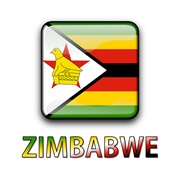 Zimbabwean
